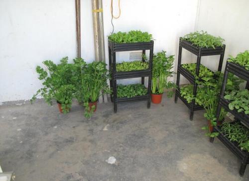 室內(nèi)植物栽培基質